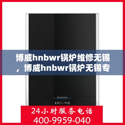 博威hnbwr锅炉维修无锡，博威hnbwr锅炉无锡专业维修服务