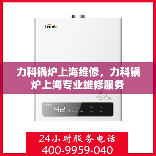 力科锅炉上海维修，力科锅炉上海专业维修服务