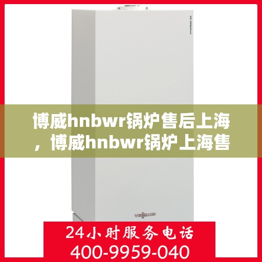 博威hnbwr锅炉售后上海，博威hnbwr锅炉上海售后服务中心，专业维修与保养服务