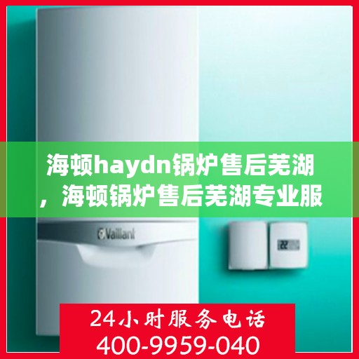 海顿haydn锅炉售后芜湖，海顿锅炉售后芜湖专业服务体验